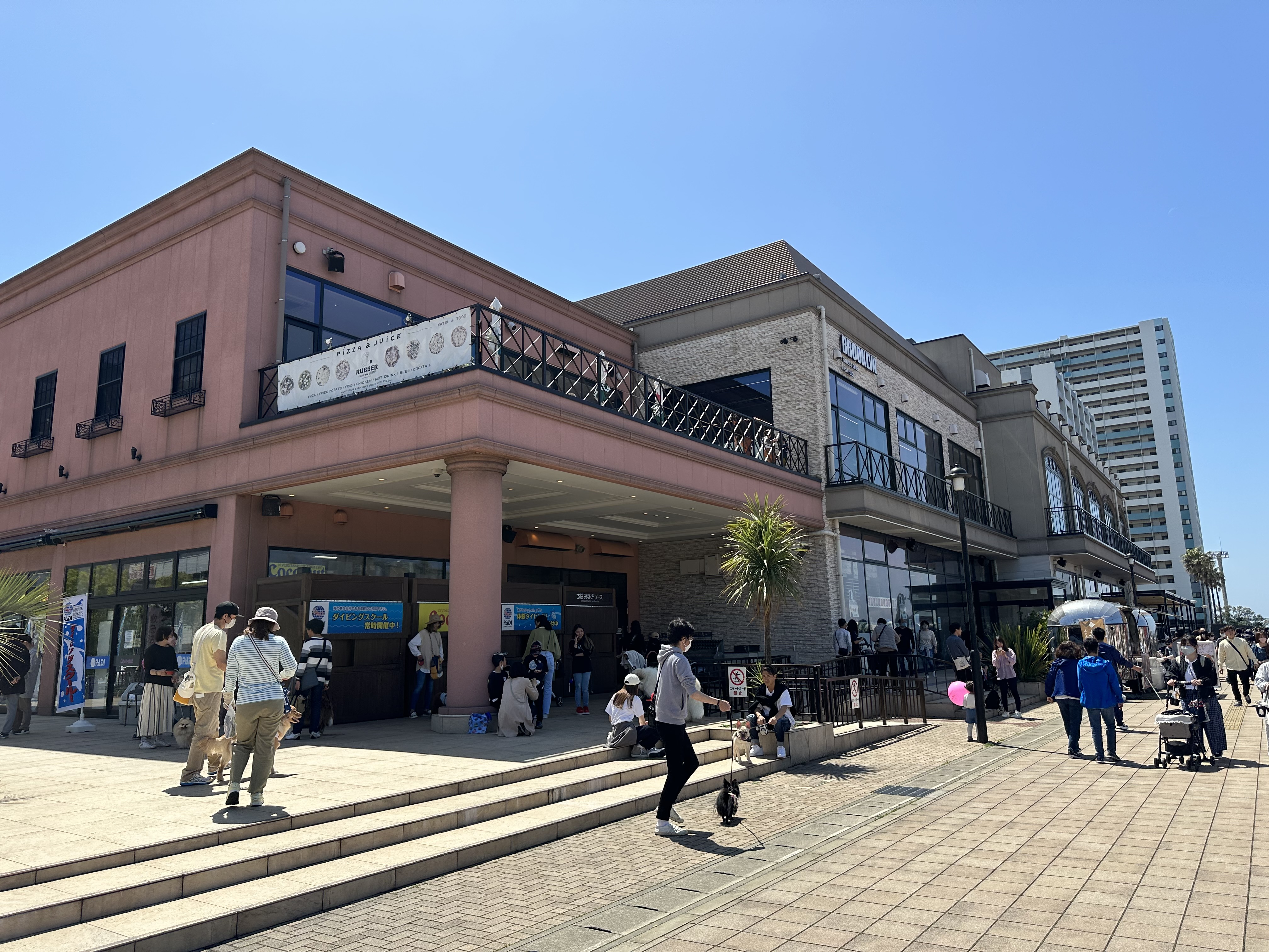 ケーズハーバー